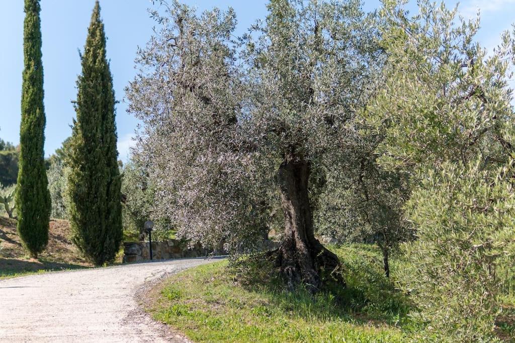 Agriturismo De Santis Castiglioncello Ngoại thất bức ảnh