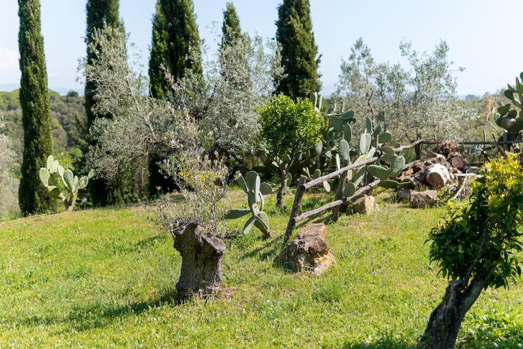 Agriturismo De Santis Castiglioncello Ngoại thất bức ảnh