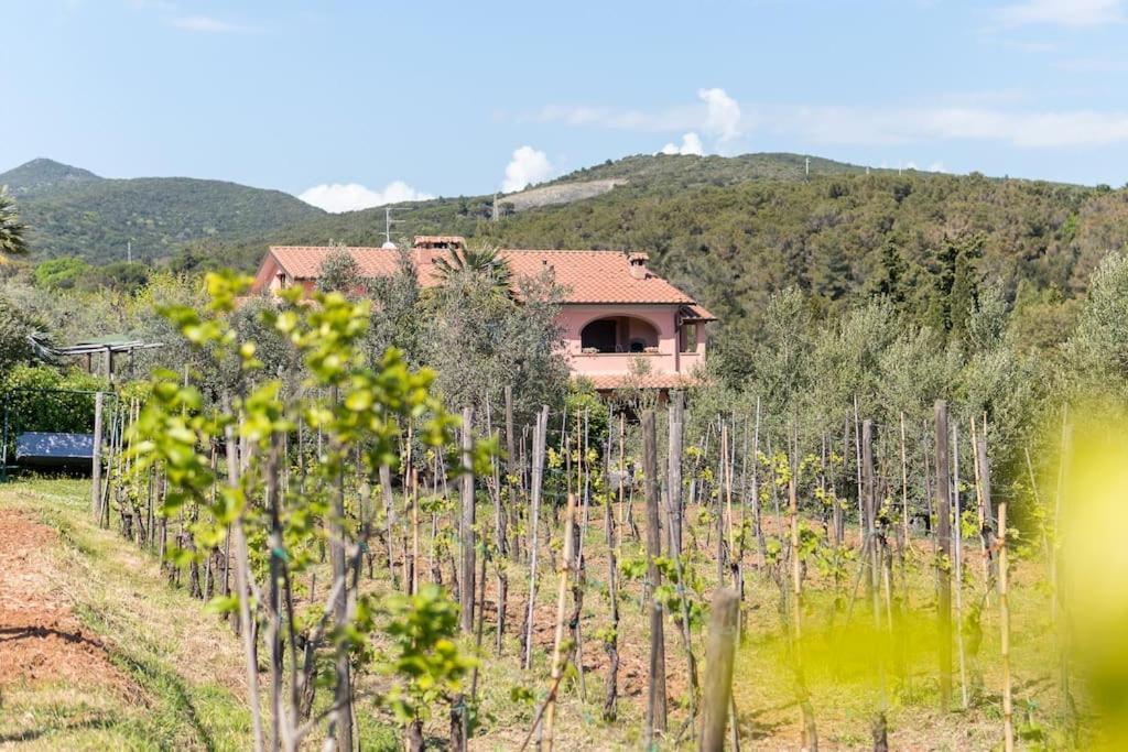Agriturismo De Santis Castiglioncello Ngoại thất bức ảnh