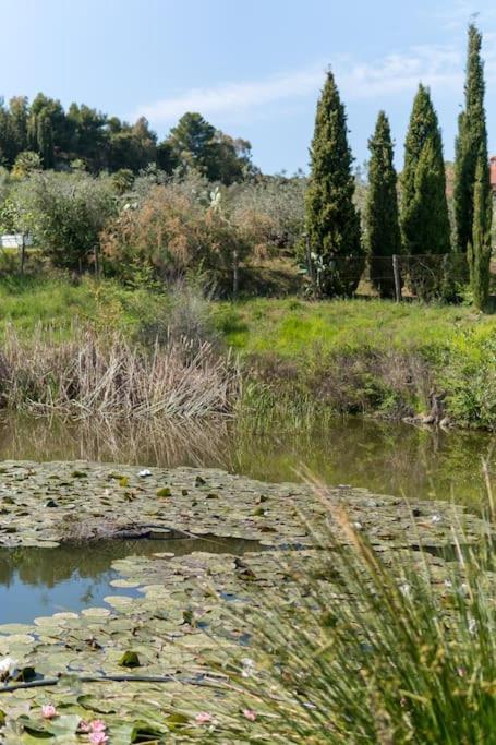 Agriturismo De Santis Castiglioncello Ngoại thất bức ảnh