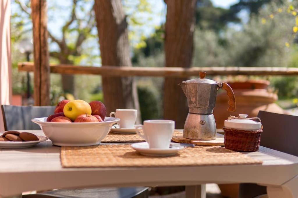 Agriturismo De Santis Castiglioncello Ngoại thất bức ảnh
